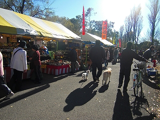 c0131616_17371.jpg