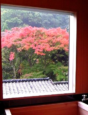 紅葉シーズンは「丹頂」がお勧め!_e0234016_18102578.jpg