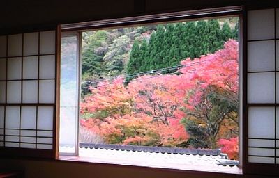 紅葉シーズンは「丹頂」がお勧め!_e0234016_18104961.jpg