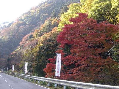 紅葉シーズンは「丹頂」がお勧め!_e0234016_18911100.jpg