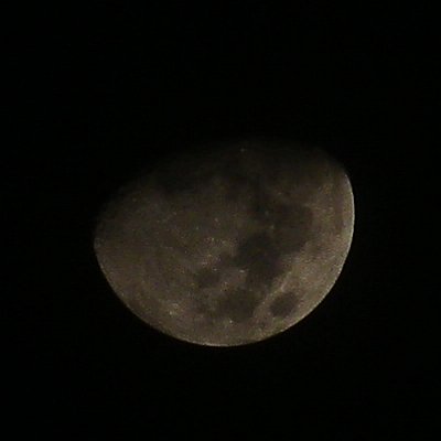 a0260019_0453651.jpg
