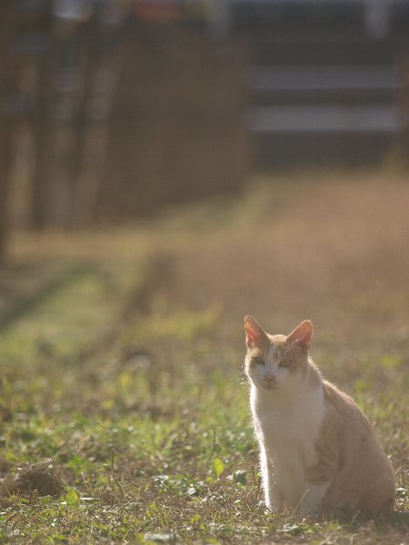 あったかい連休～♪_b0187620_22495017.jpg