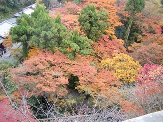 f0222920_15405234.jpg