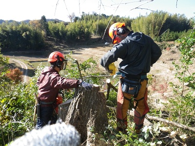 e0151623_21525611.jpg