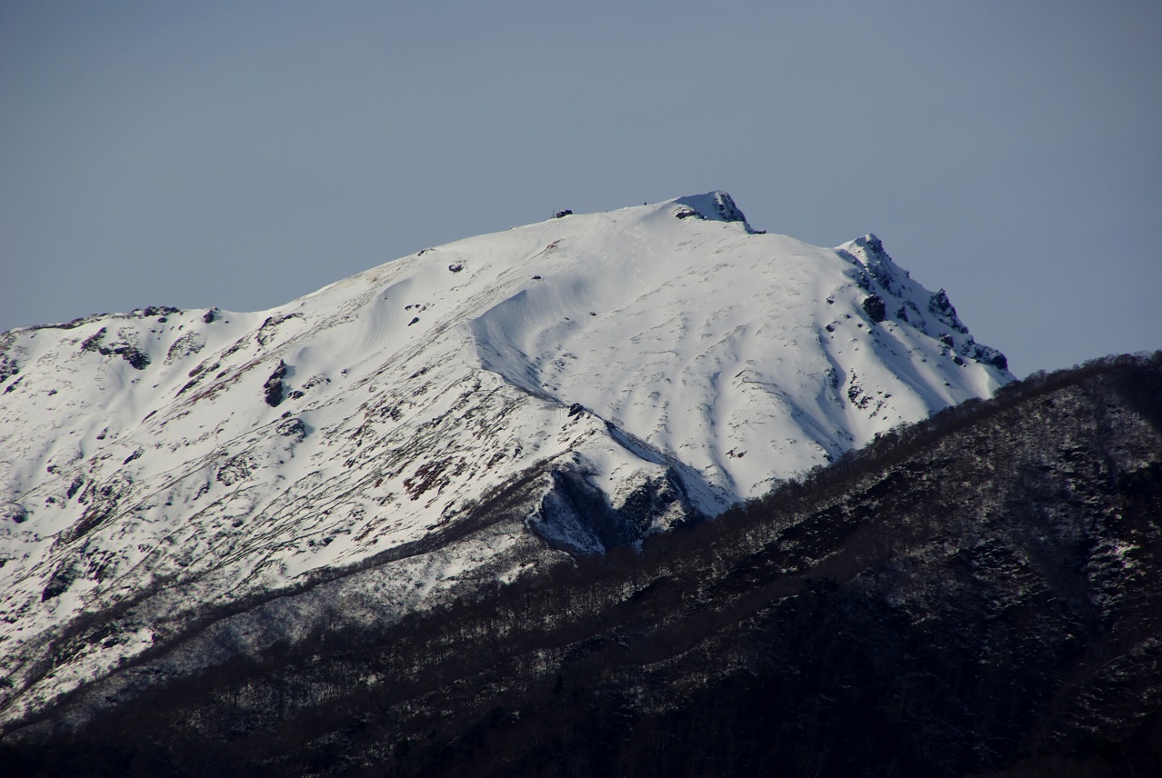 b0062024_2010175.jpg