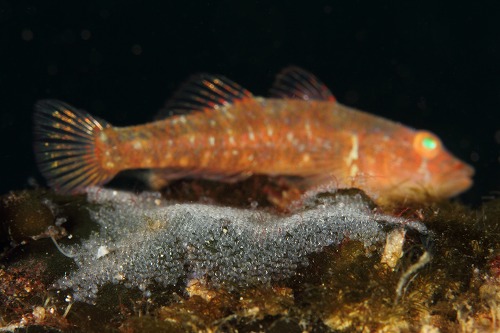 f0206424_1044617.jpg