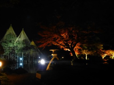 e0018428_22571159.jpg
