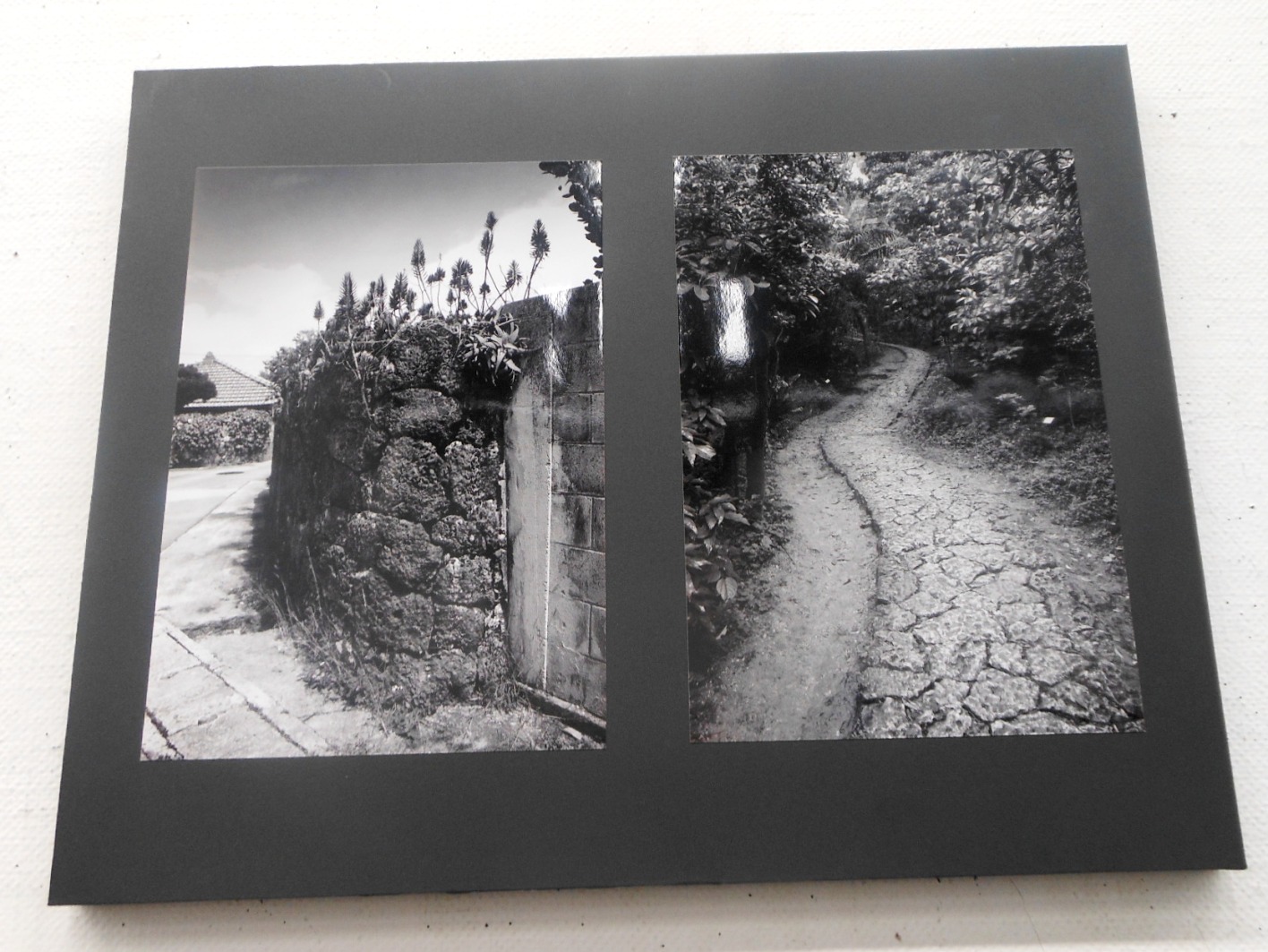 1885)②「写真クラブ「BePHaT!!」 第9回作品展　『夢 Photo 2012』」市民g. 終了11月21日(水)~11月25日(日)_f0126829_23285531.jpg