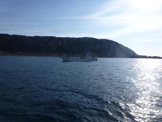 2012年11月25日(日・晴れ)室戸_d0164831_15595687.jpg