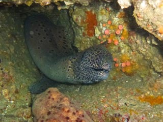 2012年11月25日(日・晴れ)室戸_d0164831_1654842.jpg