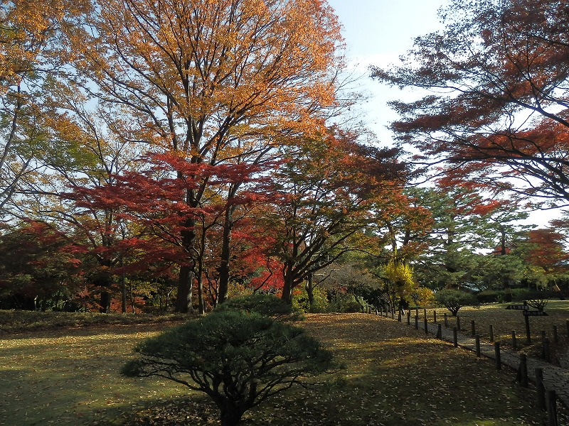 都立殿ヶ谷戸庭園_d0024832_10434656.jpg