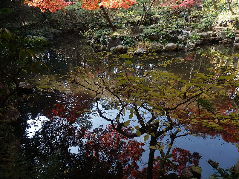 都立殿ヶ谷戸庭園_d0024832_10474788.jpg