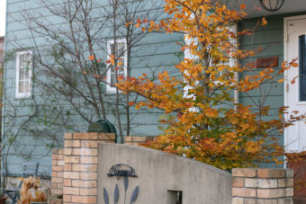 f0002534_19451585.jpg