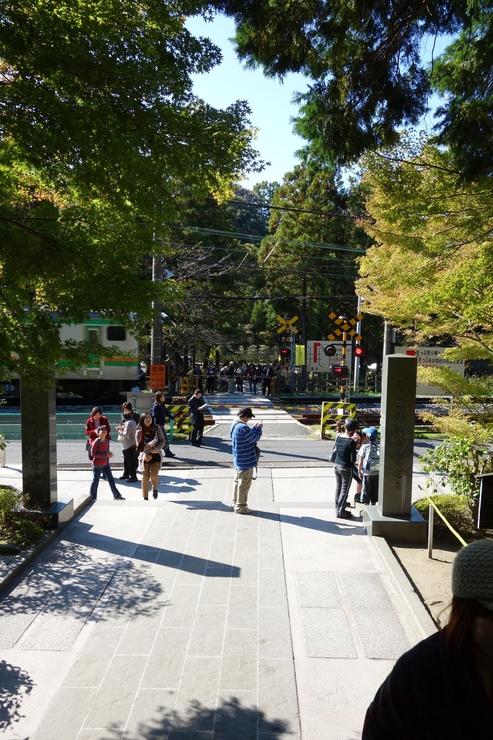 a0287336_2013312.jpg