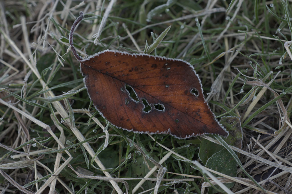 b0158237_20333151.jpg