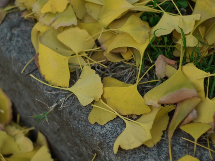 b0177737_112521.jpg