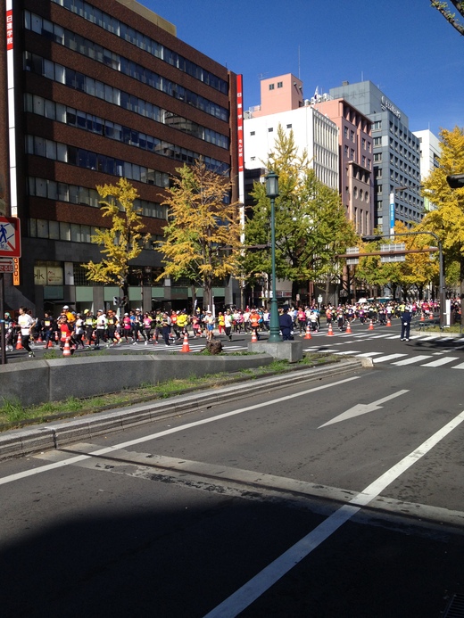 休日いかが過ごされてますか?_b0206537_12264619.jpg