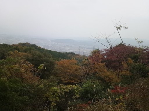 c0077338_17291643.jpg