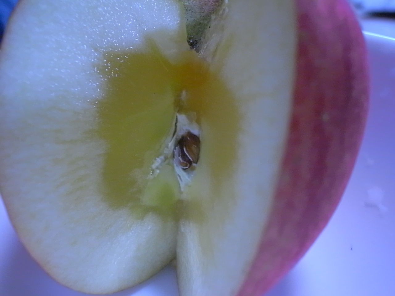 f0041138_2112651.jpg