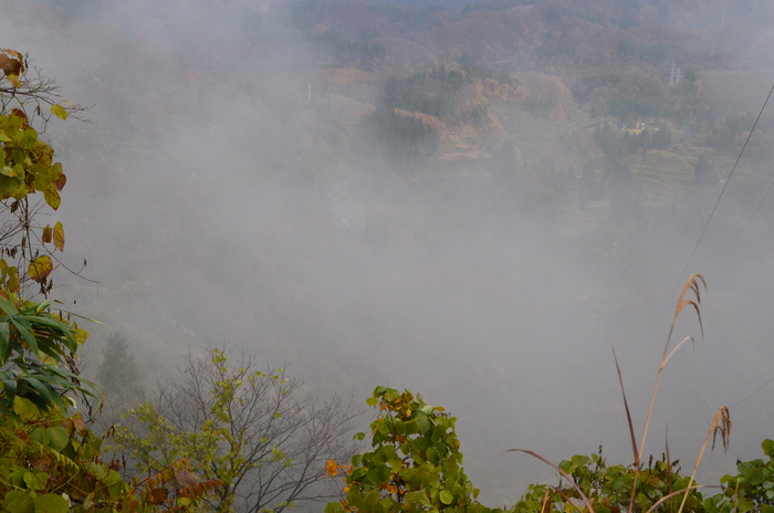 c0202242_17234125.jpg