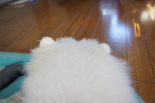 今日も会えたね_f0128542_958432.jpg