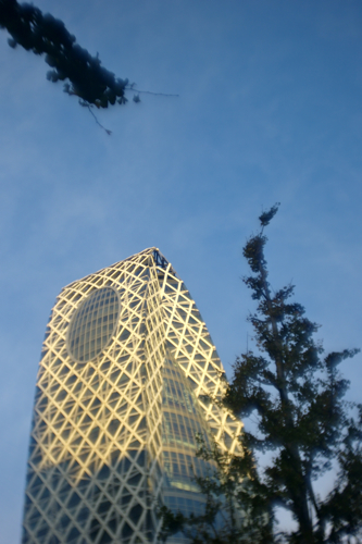 f0035343_19204829.jpg