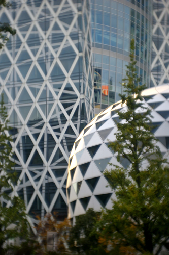 f0035343_19205732.jpg