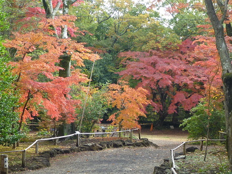 b0162248_18474936.jpg