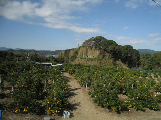 c0177951_10315845.jpg