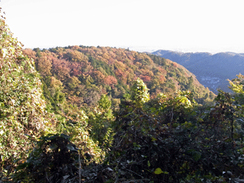 a0044453_20112632.gif