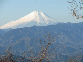 a0044453_20123477.gif