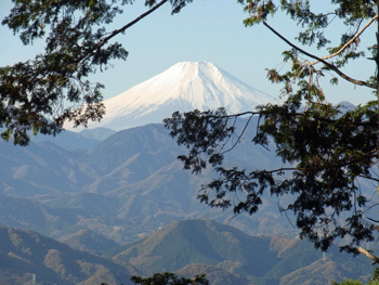 a0044453_2012965.gif