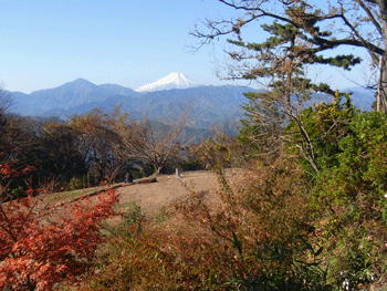 a0044453_2013067.gif