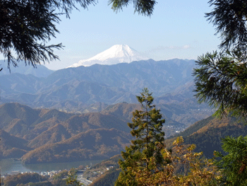 a0044453_20132456.gif