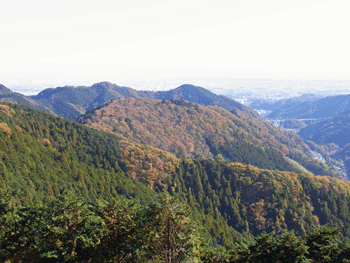 a0044453_20142259.gif