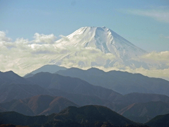 a0044453_20144585.gif