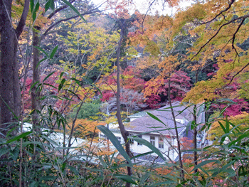 a0044453_20163449.gif
