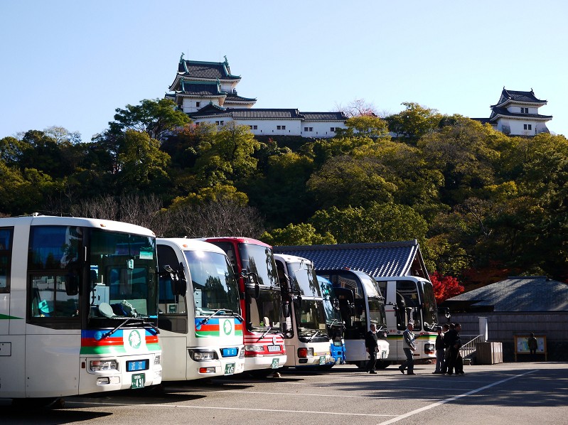 　　和歌山城公園にて_b0093754_205626100.jpg