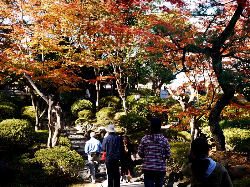 　　和歌山城公園にて_b0093754_20563916.jpg