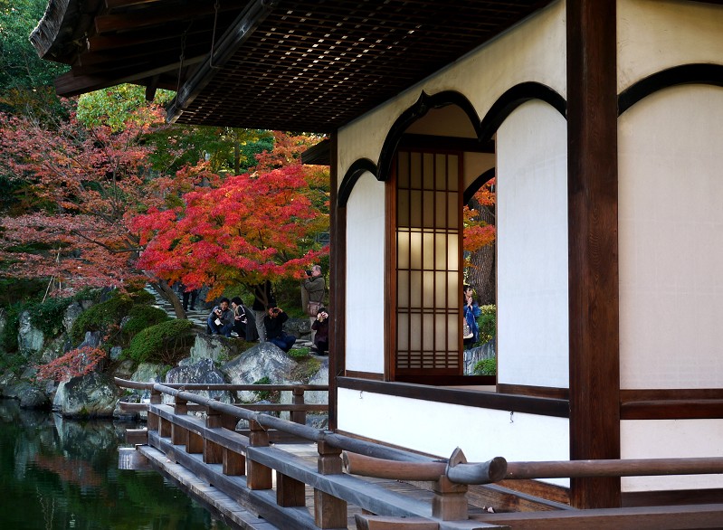 　　和歌山城公園にて_b0093754_20574295.jpg