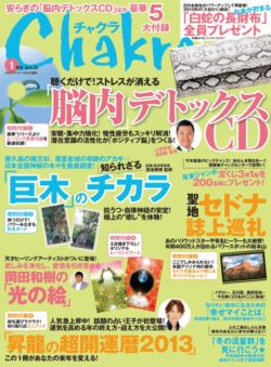 チャクラと大開運2013_d0082655_650848.jpg