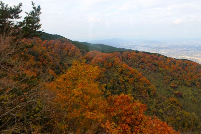 b0220958_18452690.jpg