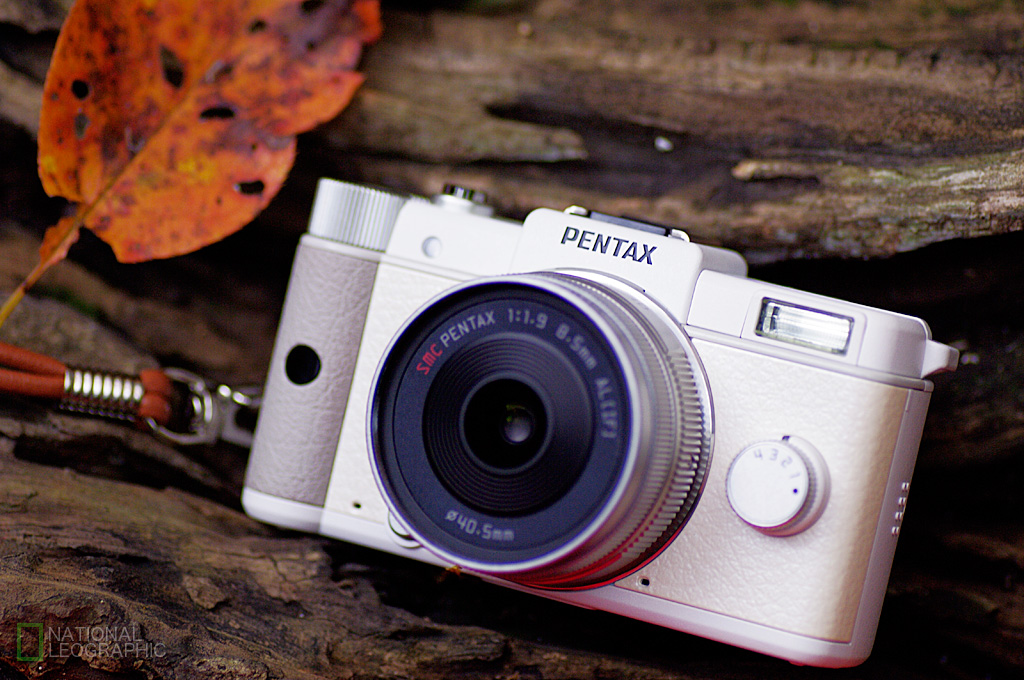 PENTAX Q用レザーケースGET_a0190559_11525442.jpg