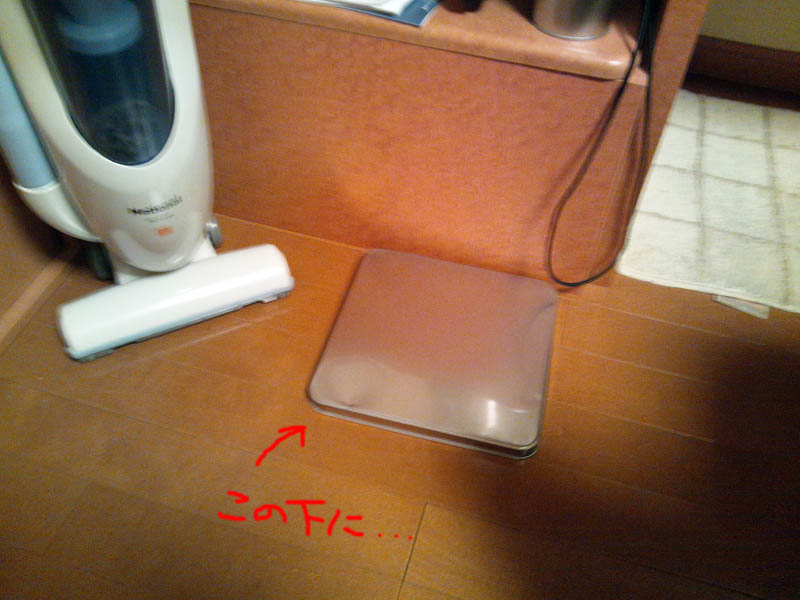 e0033459_1427814.jpg