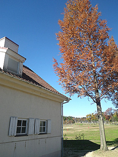 f0156359_2052470.jpg