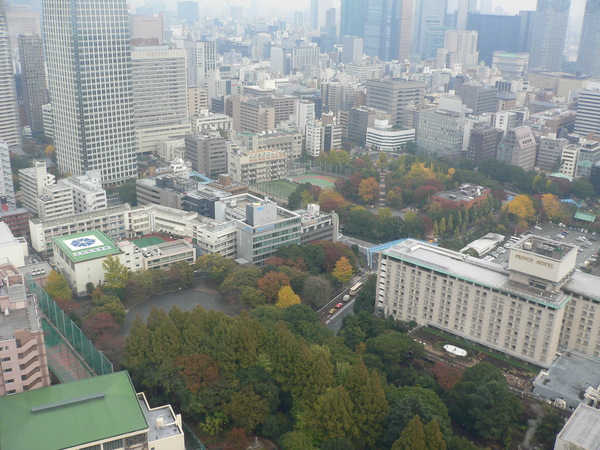 東京小旅行_e0235963_1715578.jpg