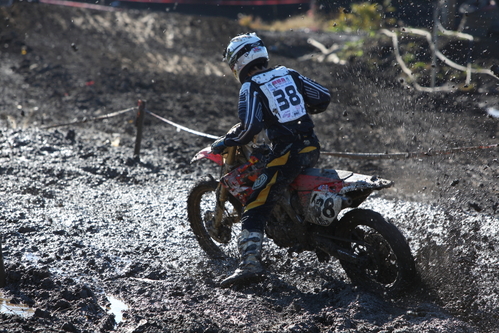 b0024266_1755530.jpg