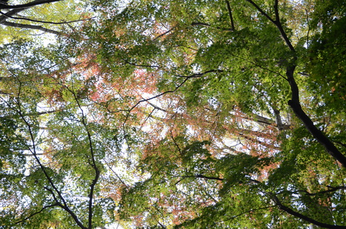 e0213169_21475540.jpg