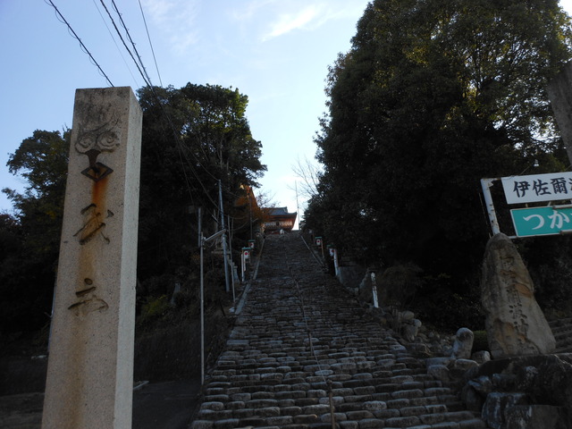 ぴち散歩_c0001670_16112966.jpg