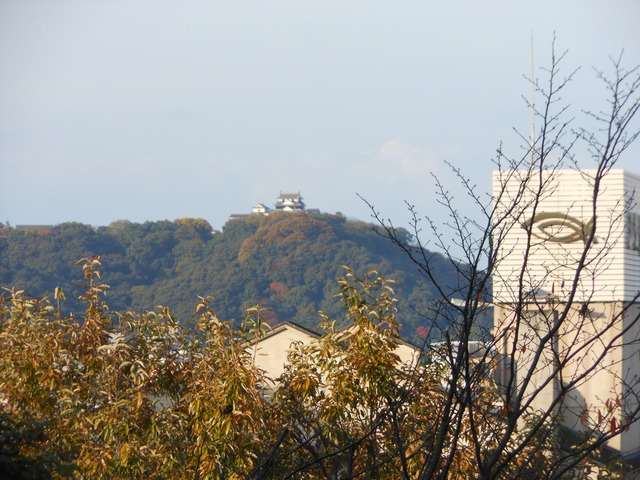 ぴち散歩_c0001670_16121598.jpg